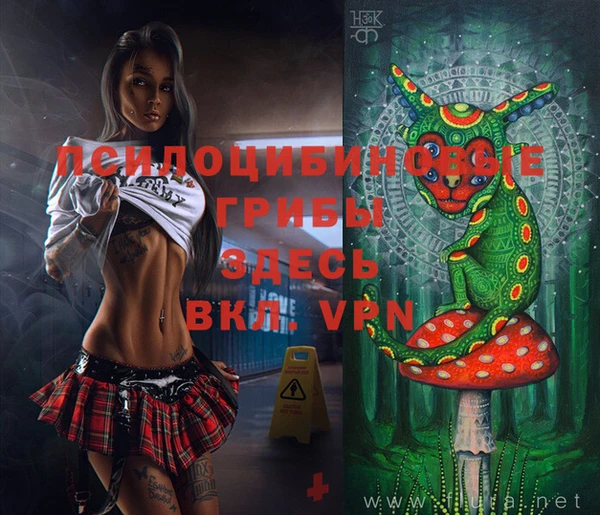 МДМА Арсеньев