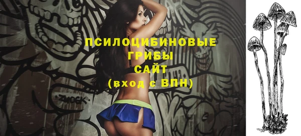 дживик Аркадак