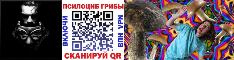 Псилоцибиновые грибы прущие грибы  KRAKEN tor  Собинка 