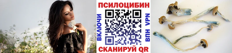 Галлюциногенные грибы Cubensis Собинка